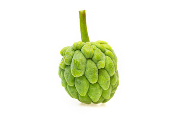 Closeup image of custard tree asian green fruit isolated at white background. Healthy vegan food