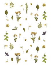 background of leaves and flowers