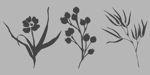 Vector illustration of dafferent twigs and flowers