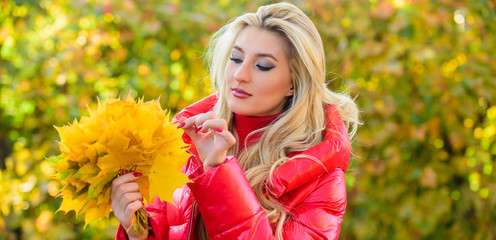 Lady gathering leaves autumn nature background. Girl dreamy face hold bunch maple leaves. DIY project autumn leaf bouquet. Woman gather leaves in park. Autumn is her favorite season of year