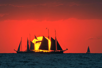Traditional sailing ships at sunset on the Baltic Sea. Regatta 'Hanse Sail' near Rostock...