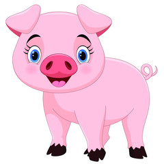 Vector illustration of cute pig cartoon isolated on white background