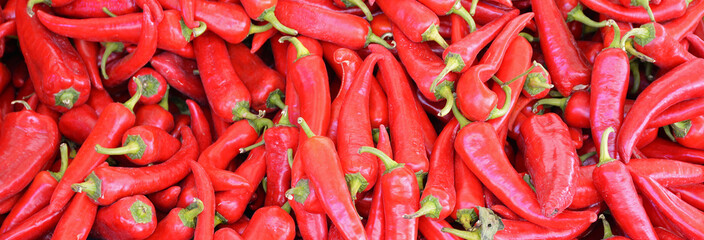 fresh and organic red chillies in market