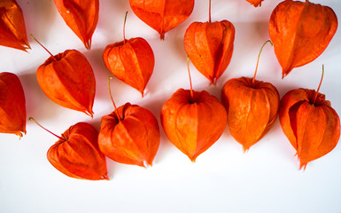 red physalis isolated on white background