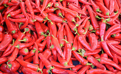 fresh and organic red chillies in market