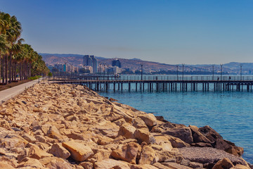 Limassol promenade with palms and pier