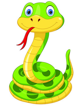 Cute green snake cartoon isolated on white background