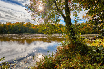 Fototapeta na wymiar Autumn landscape on a forest lake