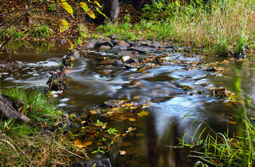 Obraz na płótnie Canvas Long exposure of a small stream in the forest.