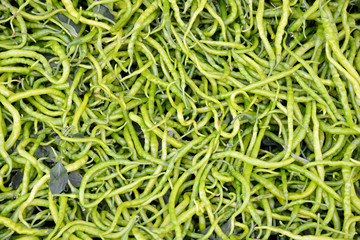 fresh and organic green peppers in market