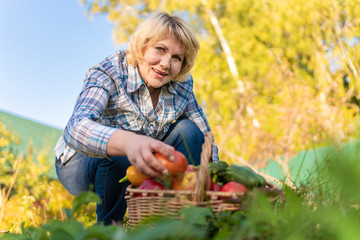 Woman with fresh vegetables in a basket in the garden in autumn