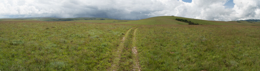 Panorama of Nyika plateau with 4x4 track in the grass into the hills