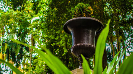 Pot in the garden