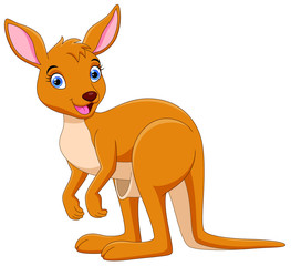 Vector illustration of Cute kangaroo cartoon isolated on white background