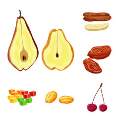Isolated object of fruit and dried symbol. Set of fruit and food stock vector illustration.