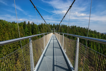 Fototapeta na wymiar Hängebrücke Wildline im Nordschwarzwald