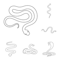 Isolated object of poison and evil sign. Set of poison and bite stock vector illustration.