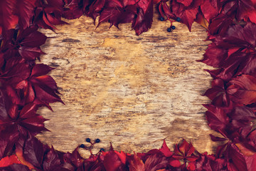Red autumn leaves on a wooden background. Frame of autumn leaves. Textured vintage rustic wooden background with autumn red leaves.