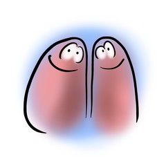 Right lung and left lung