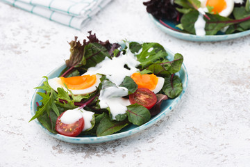 vegetable salad with egg food background