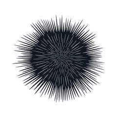 Sea urchin graphic icon. Sea urchin sign close up isolated on white background. Sea life symbol. Vector illustration