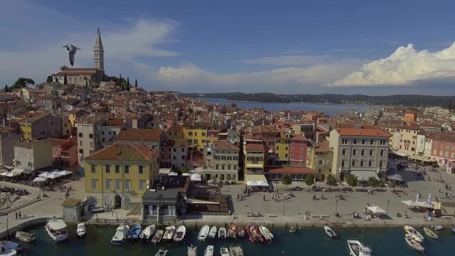Aerial pull back Drone shot from the Port of Rovini towards the sea as birds flying by. Tourist destination in Europe.
