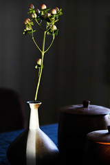 flowers in vase on black background