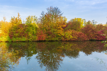 Fototapeta premium Autumn colored forest landscape with small river