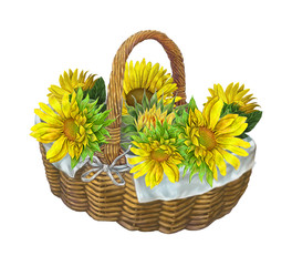 sunflowers,basket .Illustration on isolated white background .Digital painting