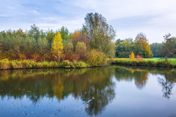 Autumn colored forest landscape with small river