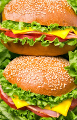 Sandwich close-up. Two sandwiches with ham, tomato, cheese and lettuce on a black background. Close-up. Leaves of lettuce lie nearby.