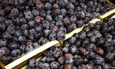 Plums in market