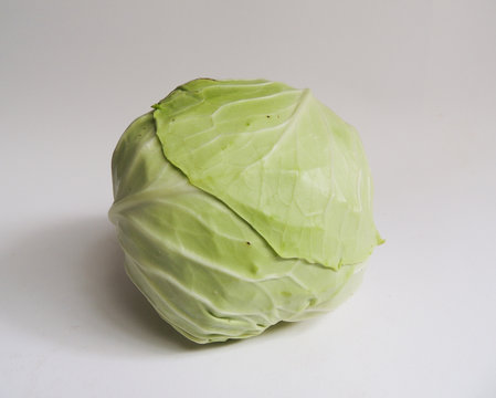 White Cabbage