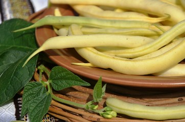 Yellow string beans (green beans) on a brown plate and on a embroidered tablecloth. nutrition. food. eco-products in farm. Organic. Vegetarian. Health life