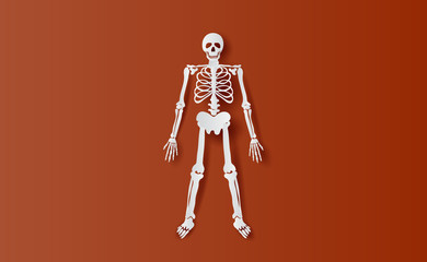 Halloween Characters of Skeleton simple bone.icon on brown isolate background.Creative paper cut and craft minimal scene place for your text.Biology body human anatomy design vector illustration EPS10