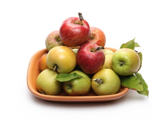 Wild apples in clay pot, bowl isolated on white background