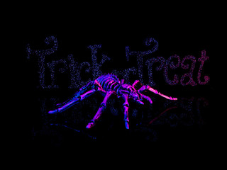 Spider in Front of Trick or Treat Halloween Text