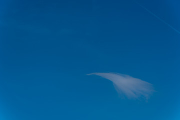 Single Swoosh Cloud in a Clear Blue Sky Perfect for Background