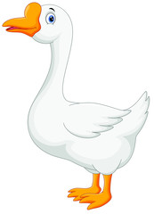 Funny cartoon duck isolated on white background