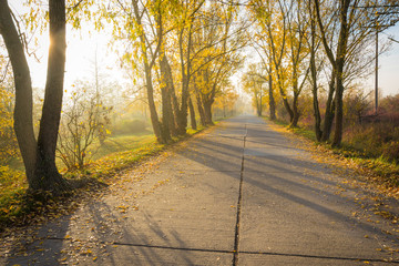 Straße im Sonnenaufgang mit Nebel im Herbst