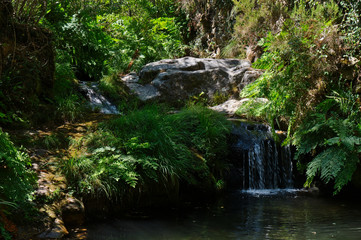 Waterfall in the forests of Carvalhais. Sao Pedro do Sul, Portugal