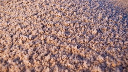frosty sand on beach in the swedish autumn, closeup