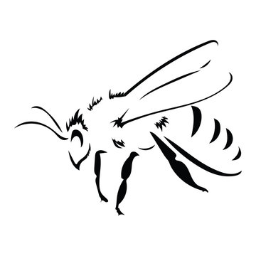 recommend clip art: Logo of the bee. Black and white bee icon. Vector illustration with scabs. Stylized insect.