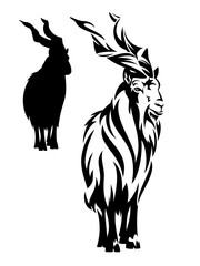markhor outline and silhouette - standing mountain goat black and white vector