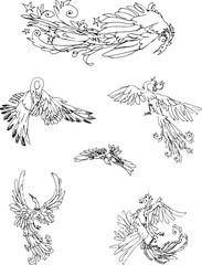 Set of fabulous birds in the style of drawing by hand