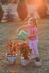 Little girl helping to water the flowers growing in flower pot, pouring water from green watering...