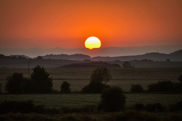 Sunset in a field in Alava with a beautiful sun in the background with orange tones. Basque Country