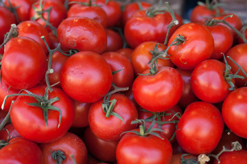 red fresh tomatoes on branch in wicker baskets on counter