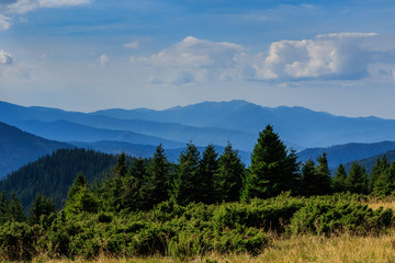 Landscape of the Ukrainian Carpathian Mountains, Chornohora