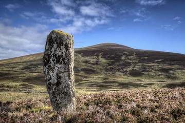 Standing stone in Glen Loth (Clach mhic mhios)